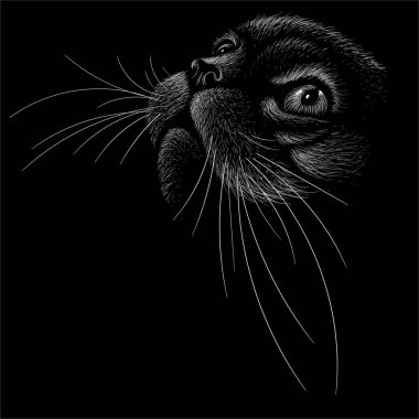 Dövme ya da tişört tasarımı için vektör logosu