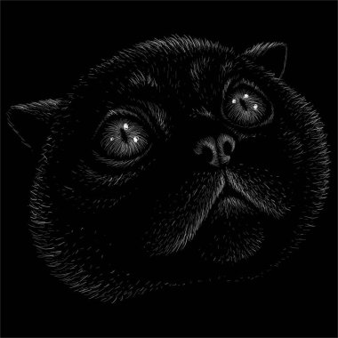 Dövme ya da tişört tasarımı için vektör logosu