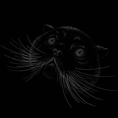 Dövme ya da tişört tasarımı için vektör logosu