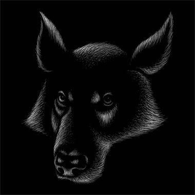 Dövme için vektör logosu ya da kurt ya da tişört tasarımı ya da üstünlük 