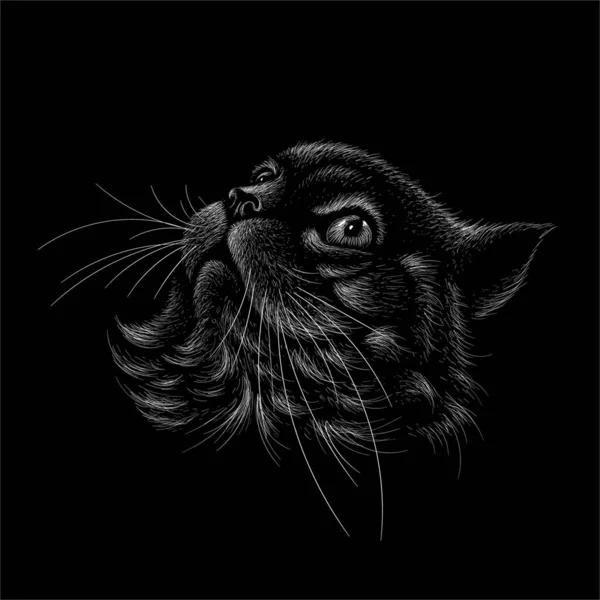 Vector Logo Cat Για Τατουάζ Shirt Σχεδιασμό Outwear — Διανυσματικό Αρχείο