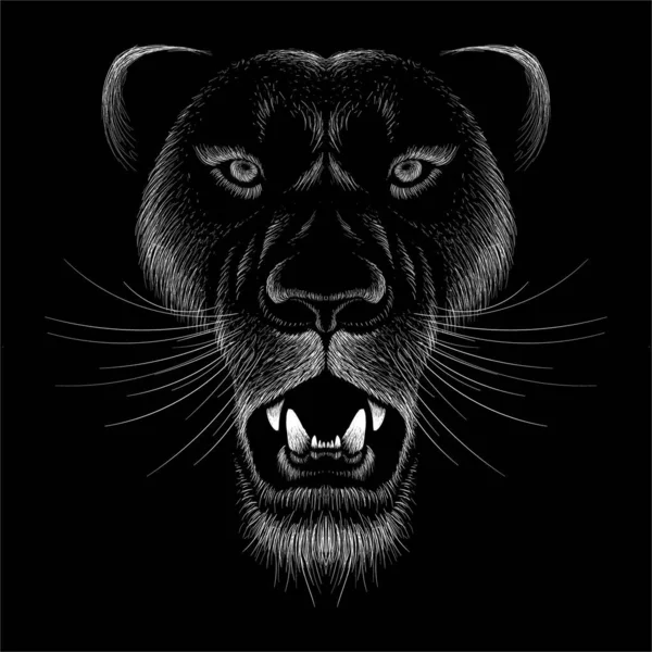 Logo Vectoriel Lion Pour Tatouage Shirt Imprimé Vêtements — Image vectorielle