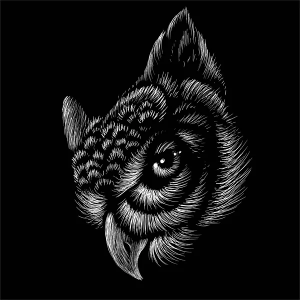 Logo Vectoriel Hibou Pour Tatouage Shirt Design Tenues — Image vectorielle