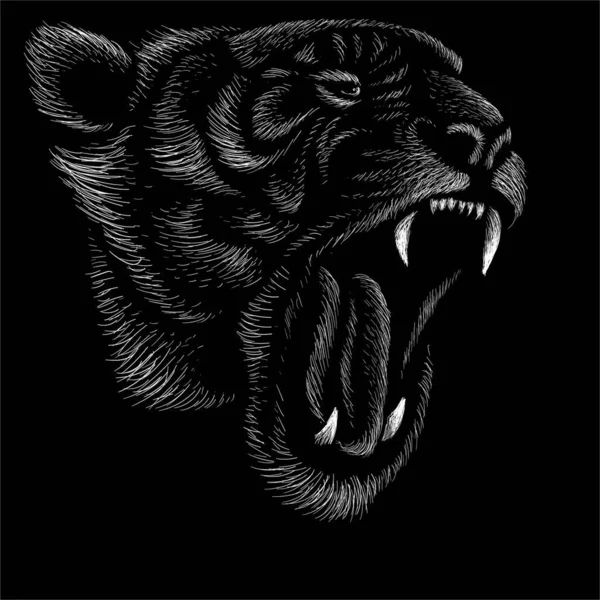 Tygrys Logo Wektora Projektowania Tatuaży Lub Shirtów Lub Strojów — Wektor stockowy