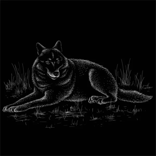 Vector Logo Hond Wolf Voor Tattoo Shirt Ontwerp Outwear — Stockvector