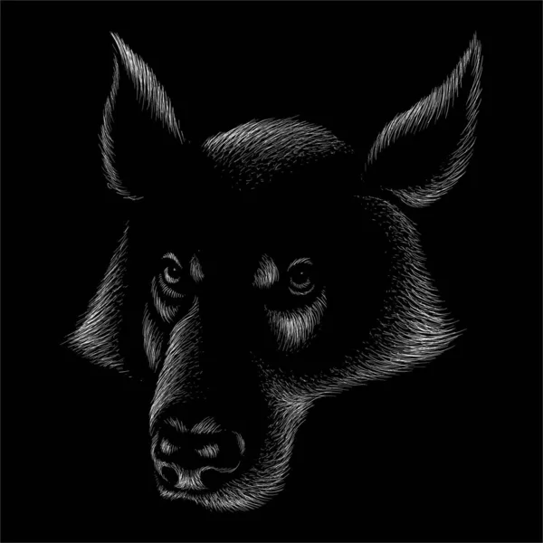 Vector Logo Dog Wolf Tattoo Shirt Design Outwear — Stock Vector