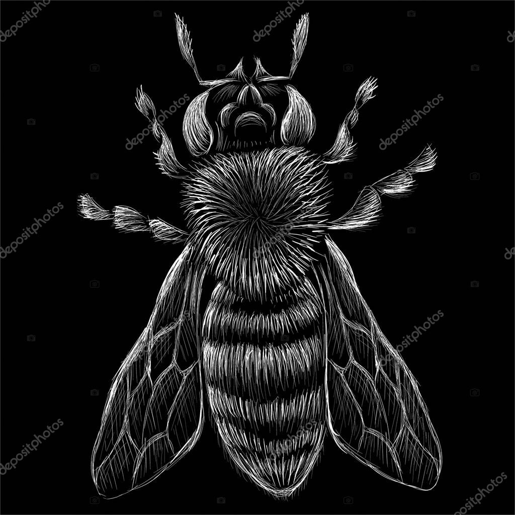 Vector logo bee for T-shirt design or outwear