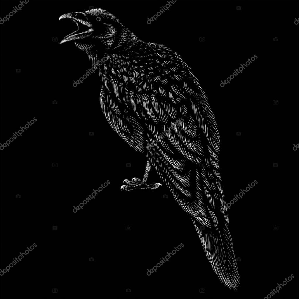 Vector logo bird for tattoo or T-shirt design or outwear