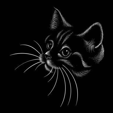 Kedi vektör çizimi, el çizimi çizimi siyah arkaplan üzerine 