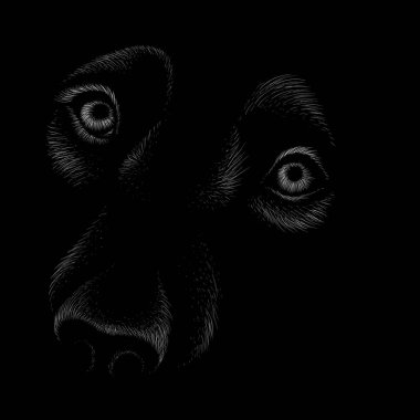 Köpeğin vektör çizimi, el çizimi çizimi siyah arkaplan üzerine