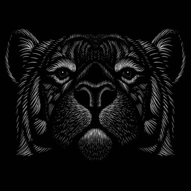 Kaplanın vektör çizimi, siyah arkaplan üzerine el çizimi