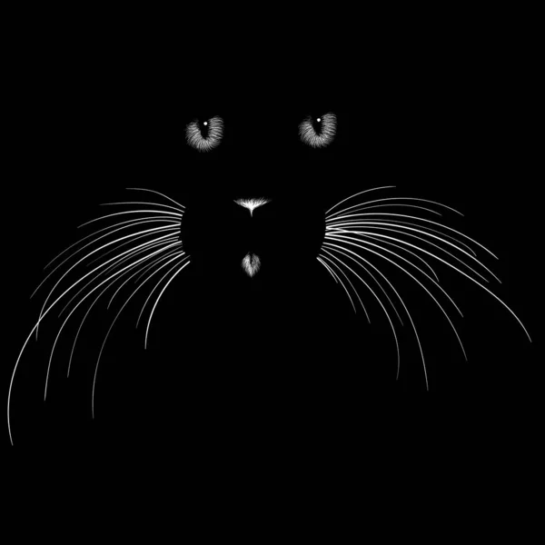 猫的矢量图解 黑色背景上的手绘草图 — 图库矢量图片