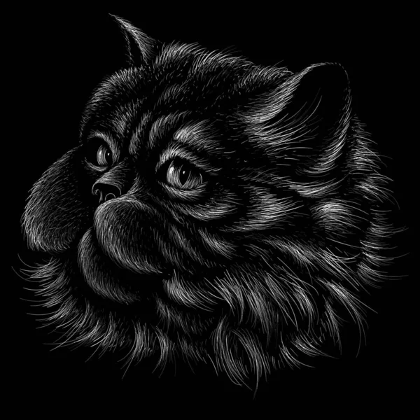 Illustration Vectorielle Chat Dessin Main Sur Fond Noir — Image vectorielle