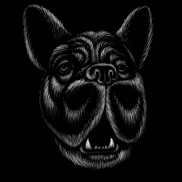 Illustration Vectorielle Chien Dessin Main Sur Fond Noir — Image vectorielle