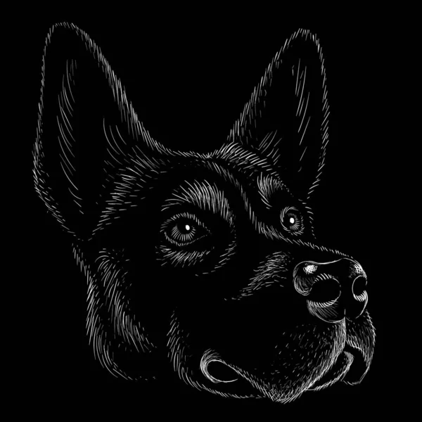 狗的矢量图解 黑色背景的手绘草图 — 图库矢量图片