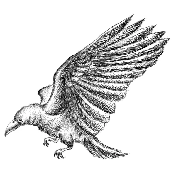 Ilustración Vectorial Aves Voladoras Boceto Dibujo Mano Sobre Fondo Negro — Archivo Imágenes Vectoriales