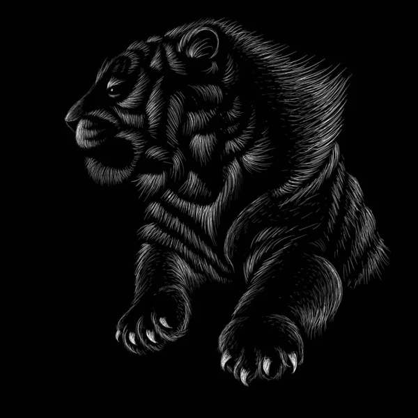 Ilustración Vectorial Del Tigre Boceto Dibujo Mano Sobre Fondo Negro — Archivo Imágenes Vectoriales