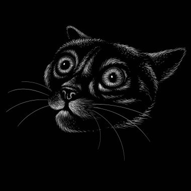 Korkak kedinin vektör çizimi, el çizimi siyah arkaplan üzerine