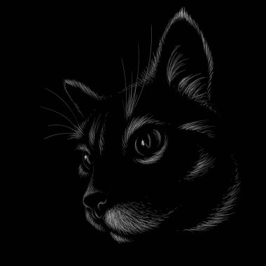 Kedi vektör çizimi, el çizimi çizimi siyah arkaplan üzerine