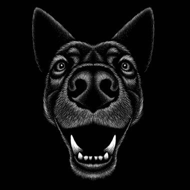 Köpek çenelerinin vektör çizimi, siyah arkaplanda el çizimi çizimi