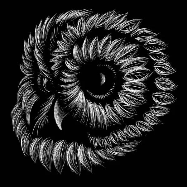 Векторная Иллюстрация Птицы Совы Рисунок Вручную Черном Фоне — стоковый вектор
