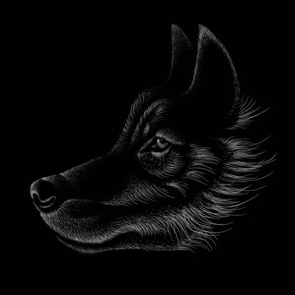 Vector Illustration Wolf Hand Draw Sketch Black Background — Stock Vector