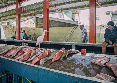 Taze balık, Victoria, Seyşeller 15 Temmuz 2016 bir sürü balık pazarı