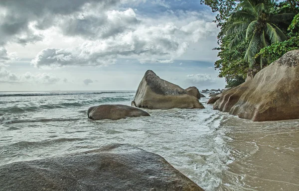 Sztormowej Pogody Plaży Kamieni Zielone Palmy Chmury Beau Vallon Seszele — Zdjęcie stockowe