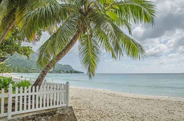 Зелені Пальм Білий Паркан Пляжі Зелених Пагорбів Сейшельські Острови — стокове фото