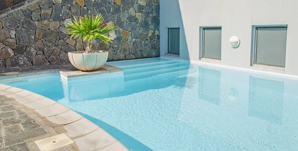 Schöner Pool Mit Azurblauem Wasser Und Kleiner Palme — Stockfoto