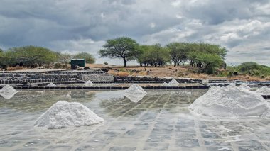 Mauritius tuz alanları