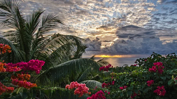 Vista Desde Colina Verde Océano Las Seychelles — Foto de Stock