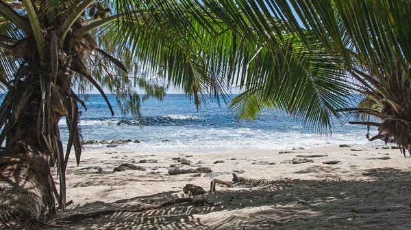 Piękna Plaża Egzotycznych Seszele — Zdjęcie stockowe