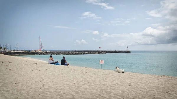 Bir çift Reunion Adası sahilde oturup