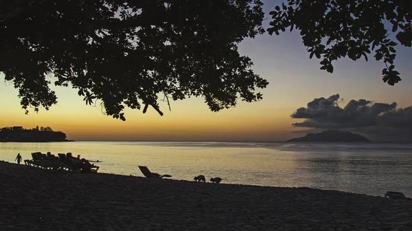 Seyşeller on pitoresk bir renkli sunset