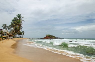 Saf kumlu plaj ve küçük ada Sri Lanka beach