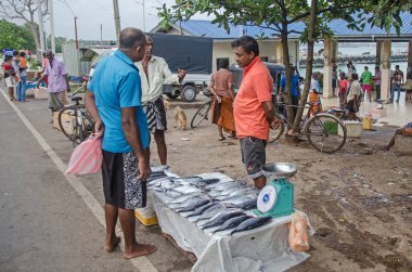 Sellinf taze balık Sri Lanka, Weligama 04 Eylül 2017 sokakta bir adamdır