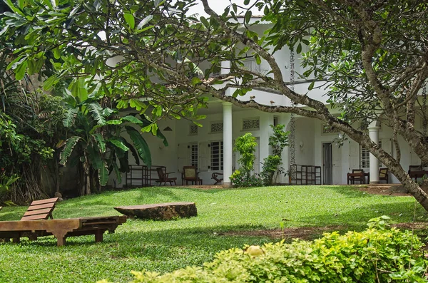 Много Зелени Возле Колониального Дома Merisa Шри Ланка — стоковое фото