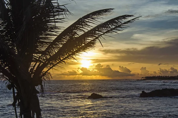 Odpoczynek Nad Morzem Patrząc Zachód Słońca — Zdjęcie stockowe