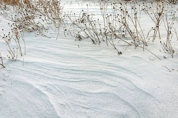 Virgin Snowbound Field — Stock Photo, Image