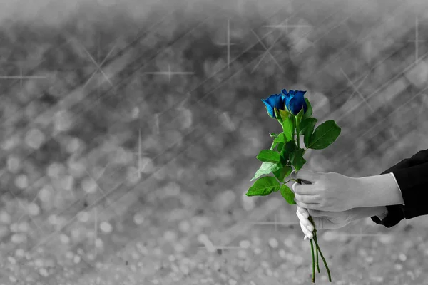 Manos sosteniendo flor de rosa azul en luces grises borrosa y bokeh — Foto de Stock