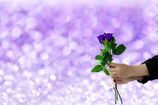 Manos sosteniendo flor de rosa violeta en bokeh púrpura — Foto de Stock