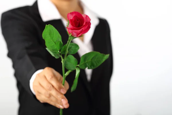 Mano sosteniendo una flor de rosa en blanco — Foto de Stock
