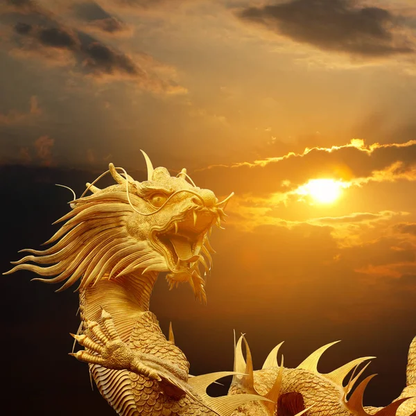 Gouden chinese draak op sky bij zonsondergang. — Stockfoto