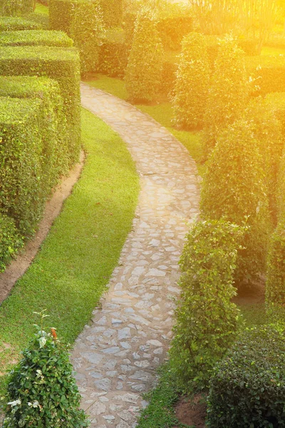 Nature path through in the tropical garden — Stock Photo, Image