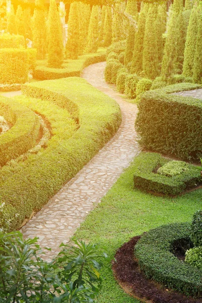 Nature path through in the tropical garden — Stock Photo, Image