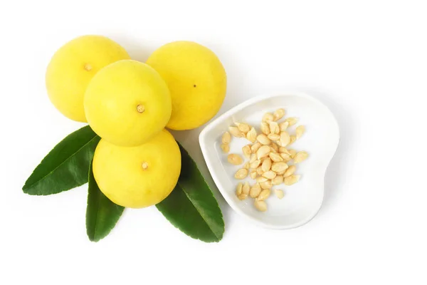 Frash lemon against cancer with seeds isolated on white — Stock Photo, Image