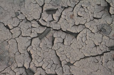 Kuru kırık dünya dokulu arka plan.