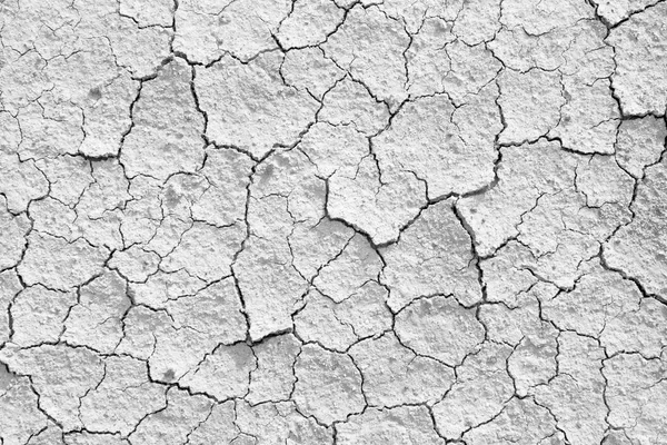 Terre fissurée sèche fond texturé . — Photo