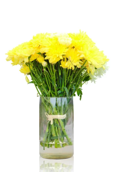 Žlutá chrysanthemum květiny ve váze s ořezovou cestou, samostatný — Stock fotografie